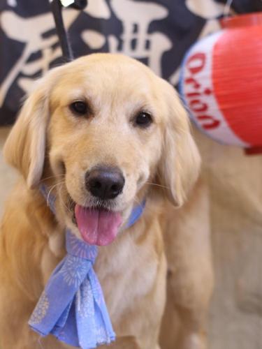 20240611アネラちゃん